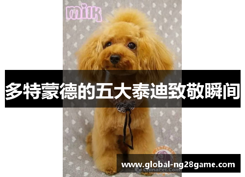 多特蒙德的五大泰迪致敬瞬间