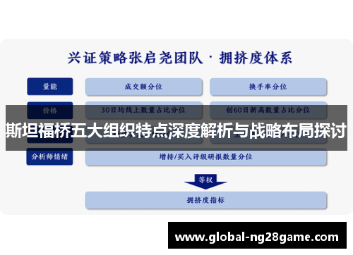 斯坦福桥五大组织特点深度解析与战略布局探讨